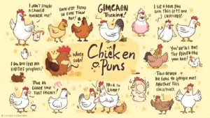 Chicken Puns